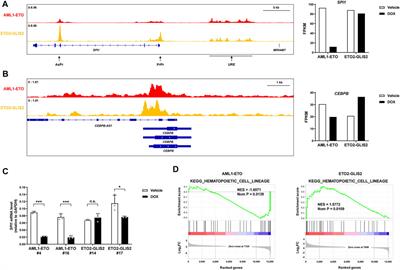 A direct comparison between AML1-ETO and ETO2-GLIS2 leukemia fusion proteins reveals context-dependent binding and regulation of target genes and opposite functions in cell differentiation